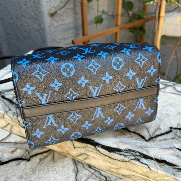 Louis Vuitton Monogram Speedy Amazon PM Crossbody - Picture 12 of 16